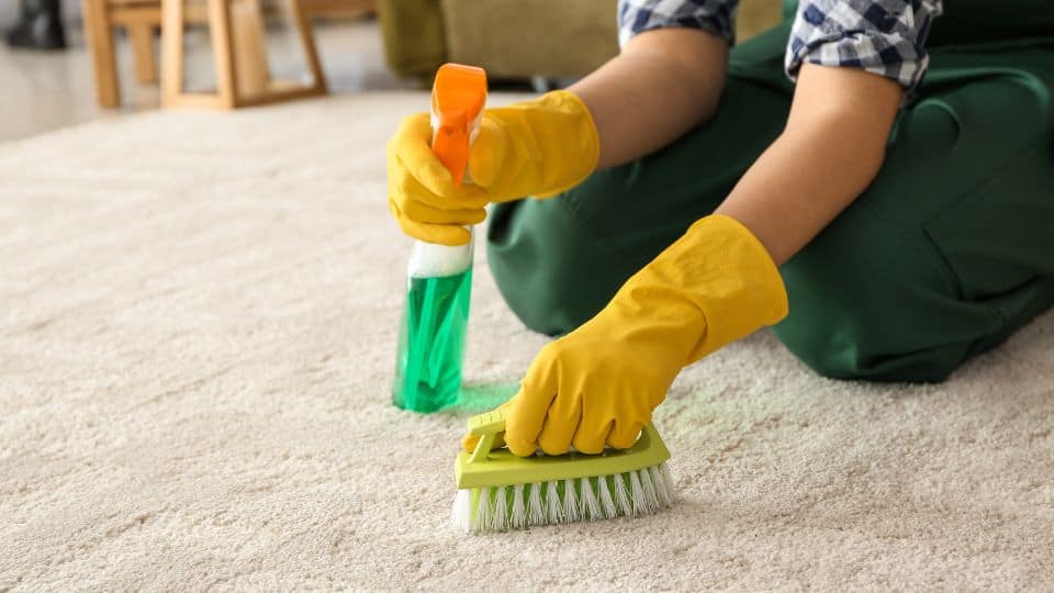 טיפול בכתמי שטיח – מדריך